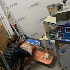 仿手工包餃子機(jī)省時(shí)省力開(kāi)店神器！